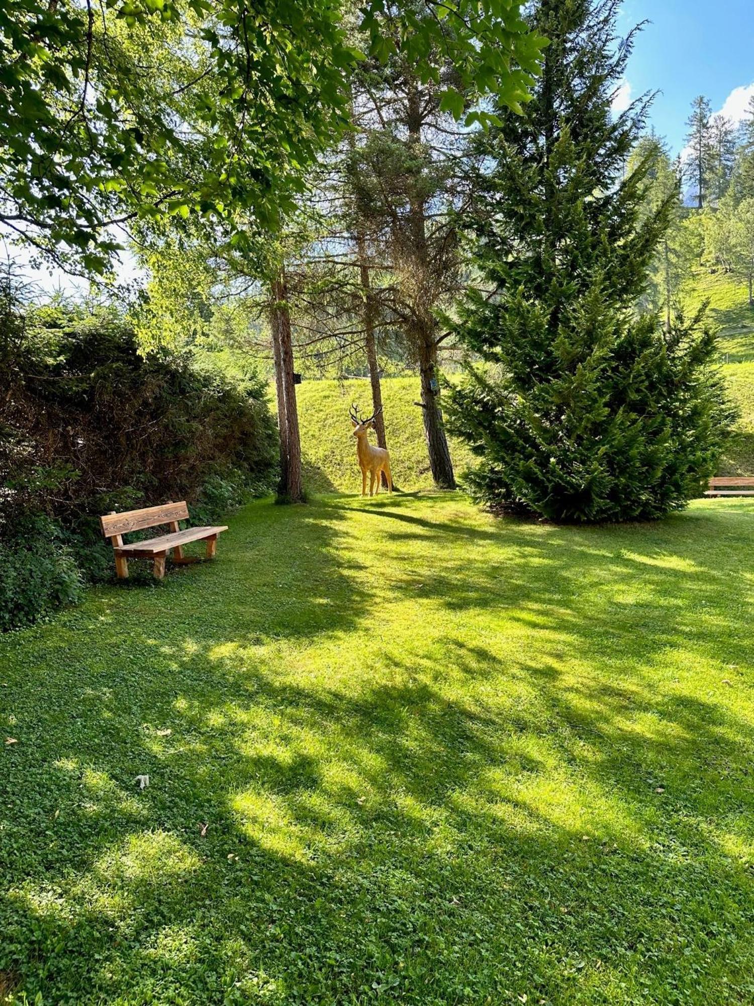 W6 Haus Ganghofer Appartement Leutasch Buitenkant foto